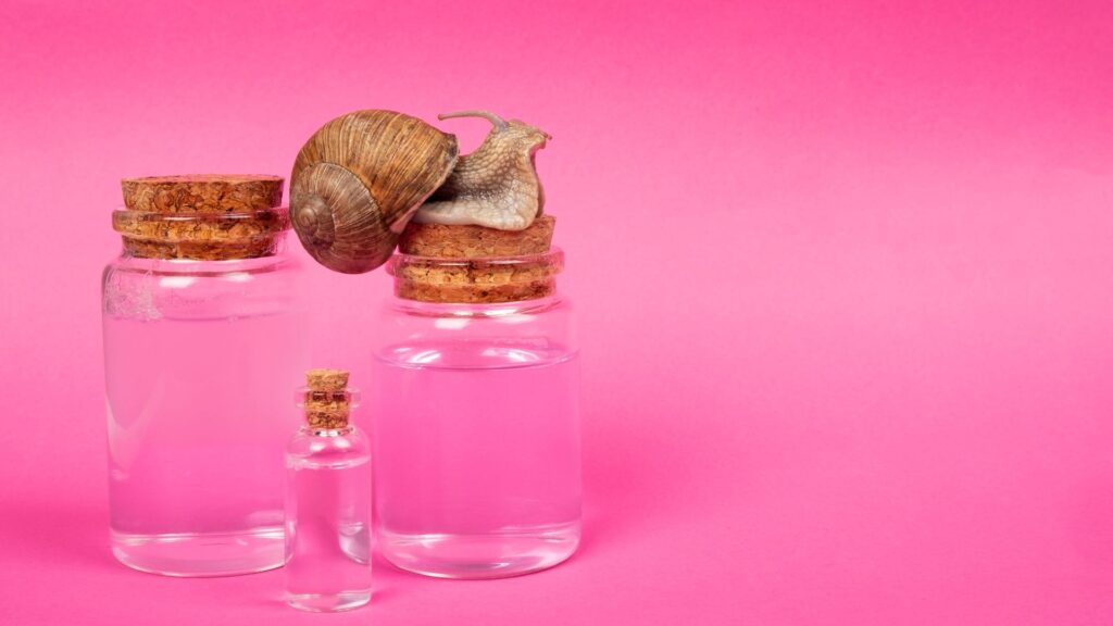 How to use snail mucin