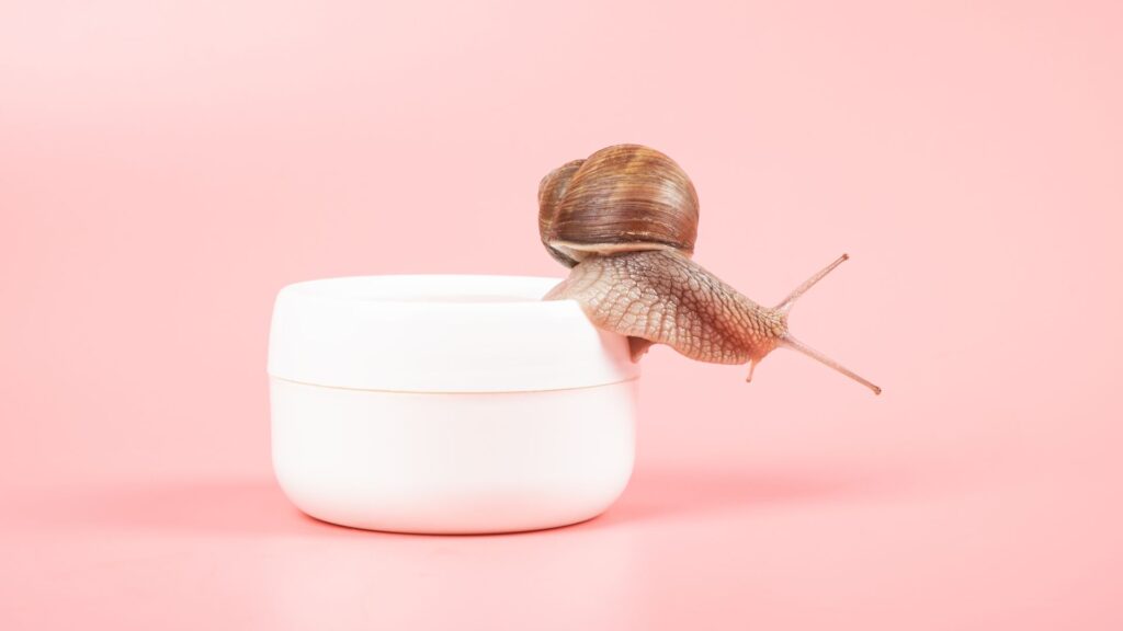 snail mucin benefits for the skin